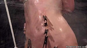 in the dungeon, the hogtied brunette slave endures rough water bondage torture