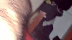 Birthday Surprise with Exhibitionist Flashing