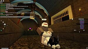 exploring roblox worlds in new zealand