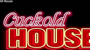 Husband Sets Up 3 Cocks Surprise for Chubby Latina Wife