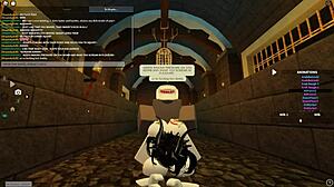 exploring roblox worlds in new zealand