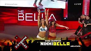 Nikki bella vs naomi in extreme rules 2015 match