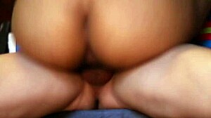 Student And Stepmother's Moonlit Garden Meeting