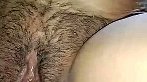 感受Lilli Hale荡妇合辑中的激情