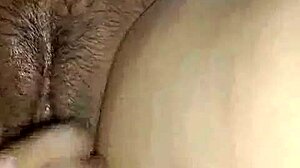 感受Lilli Hale荡妇合辑中的激情