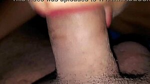 i love this latina slut susy with her mamador lips giving rich verga chupada, she's addicted to cock