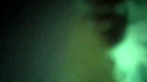 ugh, pandita starts the year hot, playin’ with her fave toy!