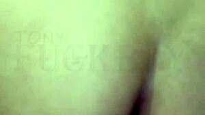 latina neighbor gapes wide after wild anal creampie