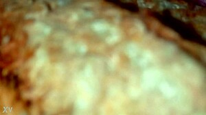 Why film my sister-in-law's sexy ass?