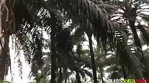 Doctor and student got caught in the bush.