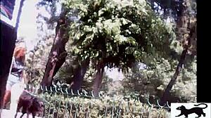 Oh man, spotting that stray cat on the street was wild... it wandered around curiously before vanishing into the alley.