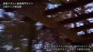 Japanese Slave Hinata Submits in BDSM Scene