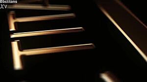 vicki's milf cunt railed by three bulls