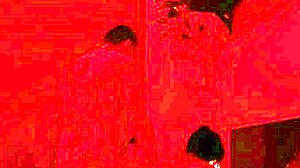 Lexie Grants seduces her chubby stepmother with a monster cock