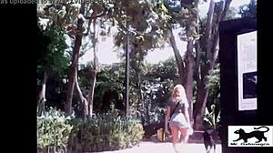 Oh man, spotting that stray cat on the street was wild... it wandered around curiously before vanishing into the alley.