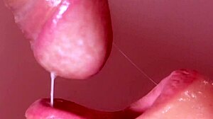 Japanese Story Unfolds With Intrigue And Depth!