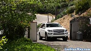 oh no, the cute teen with brown hair got caught stealing and arrested!