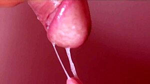 Japanese Story Unfolds With Intrigue And Depth!