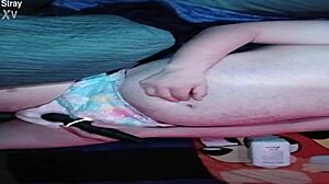 baby pup getting padded up in a diaper for some fun promo time, looking all cute and ready!