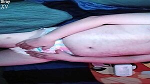 baby pup getting padded up in a diaper for some fun promo time, looking all cute and ready!