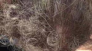 淫荡BBW户外公共口交吞精