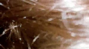 大屁股迪西妻子4u - 更新5 - Xvideos Mj Bhand Kachhoda Hd - 2025年5月31日