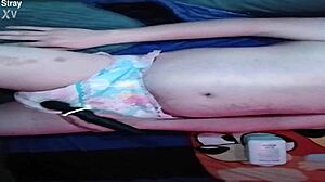 baby pup getting padded up in a diaper for some fun promo time, looking all cute and ready!