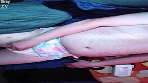 baby pup getting padded up in a diaper for some fun promo time, looking all cute and ready!