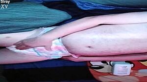 baby pup getting padded up in a diaper for some fun promo time, looking all cute and ready!