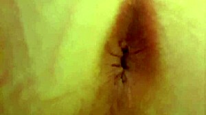 Leetdos pisses with anal winking