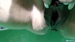 业余俄罗斯熟女在摄像头上表演湿阴道喷水和尿尿秀。她探索成熟阴户的金色淋浴在屁眼操中。