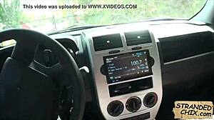 Sexy teen 18+ babe gets picked up and fucked outdoors in hidden spot by Dani Desire