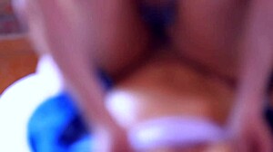 cuñada and sister's companion in single home