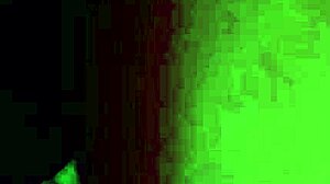 Mature Latina BBW on All Fours