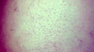 Quick Anal with Colombian Teen Before Parents Arrive Home