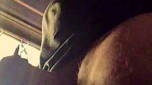 Arab teacher gets showered in penes by bad wolf28