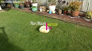 Kiwi trashy milf uses massive pumpkin as toilet seat in backyard