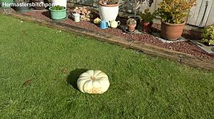 Kiwi trashy milf uses massive pumpkin as toilet seat in backyard