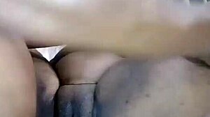 Nigarchrist shares update 1364 on Petal from June 09 2025 with 113832 timestamp.