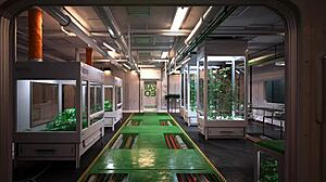 Shaved Pussy Big Tits Shaved Hairless Brunette Play