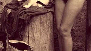 Dark lantern entertainment shares a vintage tale of beauty and the beast