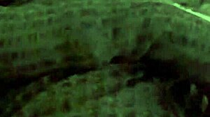 Amira Ali 用她曲线MILF身体和脏话挑逗Antonio Suleiman