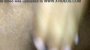 hey geek girl, loving doggy with those glasses on?