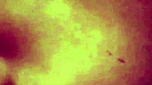 my wife grinds her ass on my cock