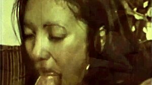 精彩复古跨种族色情暗示亚洲口交和毛茸茸邂逅