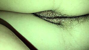 我小姨的毛茸茸小屁股