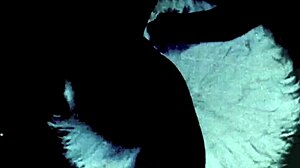 精彩复古跨种族色情暗示亚洲口交和毛茸茸邂逅