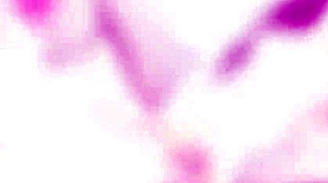 Sandra Soul Gets BALLS DEEP ANAL and DP in Outdoor DAP Destination.