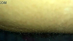 毛茸茸拉丁美女的大阴蒂在跳动挑逗