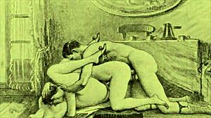 vintage erotic art featuring hairy beavers and retro scenes